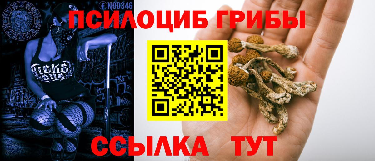 Галлюциногенные грибы Cubensis  Вход с VPN  Пенза 