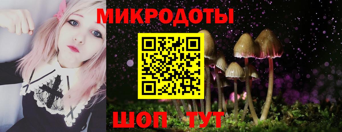 Псилоцибиновые грибы ЛСД Пенза